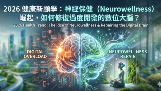 2026 健康新顯學：神經保健（Neurowellness）崛起，如何修復過度開發的數位大腦？