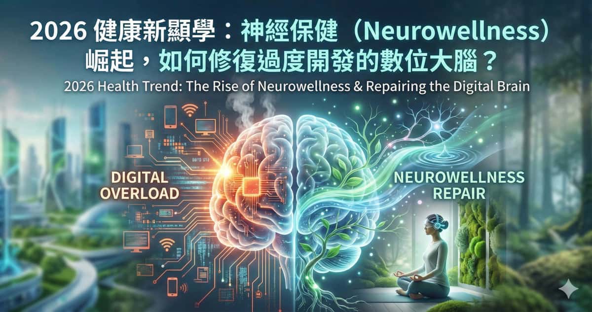 2026 健康新顯學：神經保健（Neurowellness）崛起，如何修復過度開發的數位大腦？
