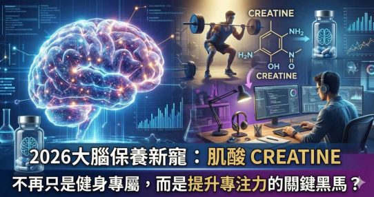 2026 大腦保養新寵：為何「肌酸」不再只是健身專屬，而是提升專注力的關鍵黑馬？