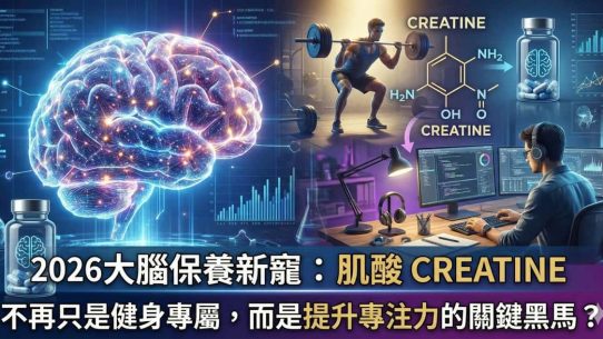 2026 大腦保養新寵：為何「肌酸」不再只是健身專屬，而是提升專注力的關鍵黑馬？