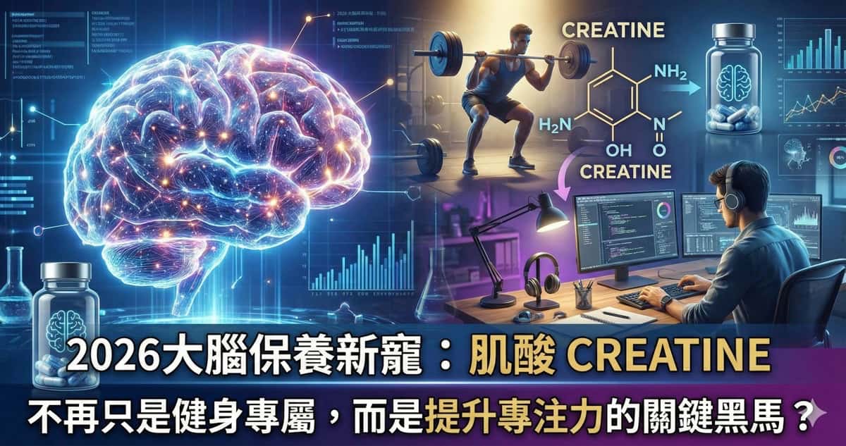 2026 大腦保養新寵：為何「肌酸」不再只是健身專屬，而是提升專注力的關鍵黑馬？