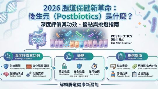 2026 腸道保健新革命：後生元（Postbiotics）是什麼？深度評價其功效、優點與挑選指南