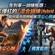 混合訓練 (Hybrid Training)