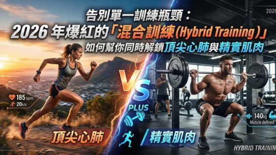混合訓練 (Hybrid Training)