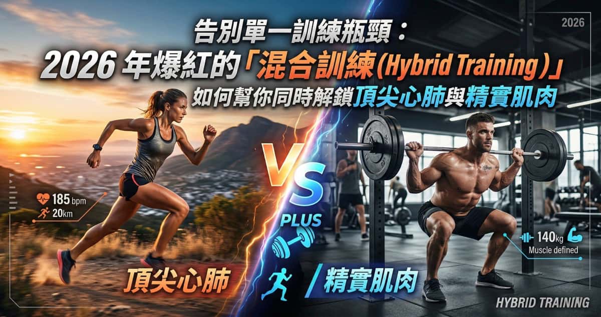 混合訓練 (Hybrid Training)