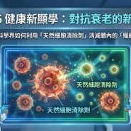 對抗衰老的新戰場：2026 年科學界如何利用「天然細胞清除劑」消滅體內的「殭屍細胞」？