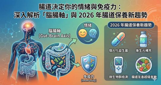 腸道決定你的情緒與免疫力：深入解析「腦腸軸」與 2026 年腸道保養新趨勢