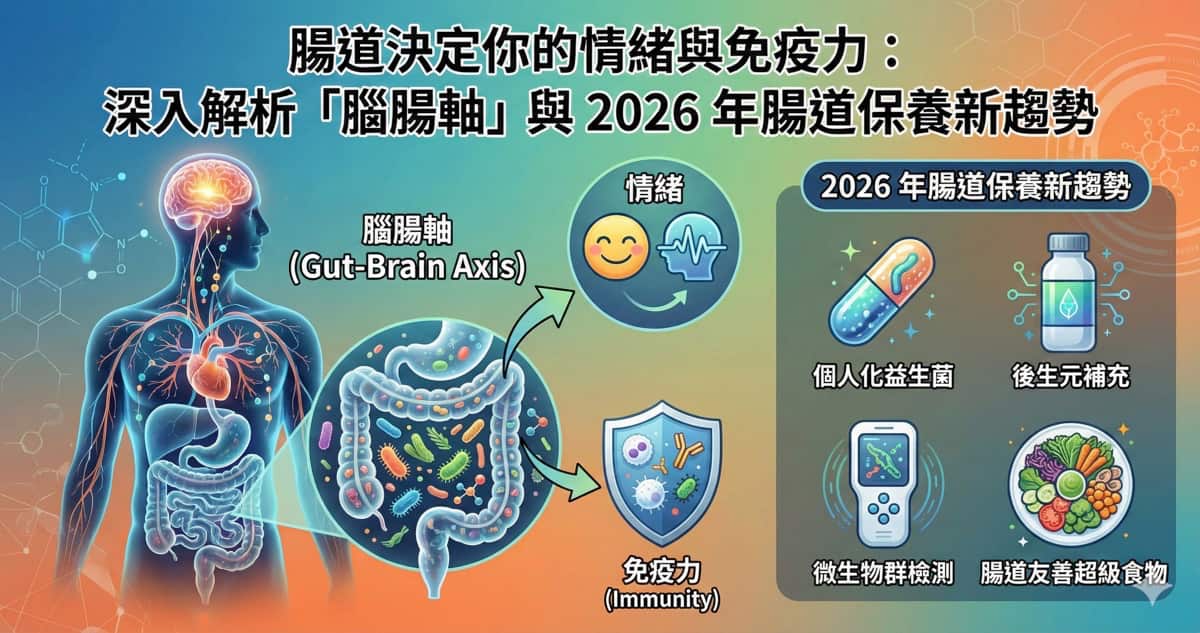 腸道決定你的情緒與免疫力：深入解析「腦腸軸」與 2026 年腸道保養新趨勢