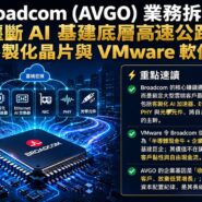 Broadcom AVGO 業務拆局