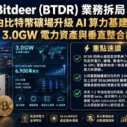 Bitdeer (BTDR) 業務拆局