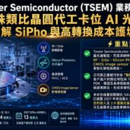 Tower Semiconductor (TSEM) 業務拆局